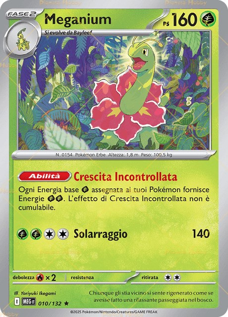 Rare Holo Reverse