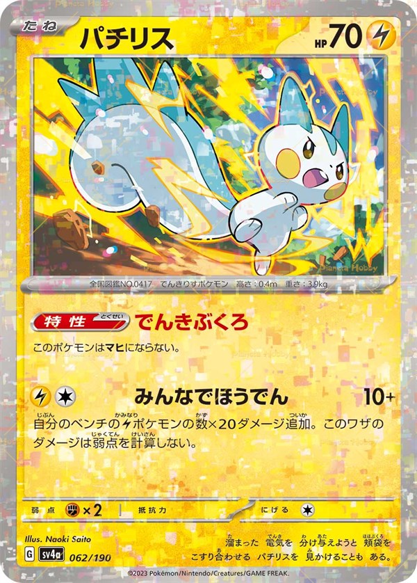 Pachirisu reverse