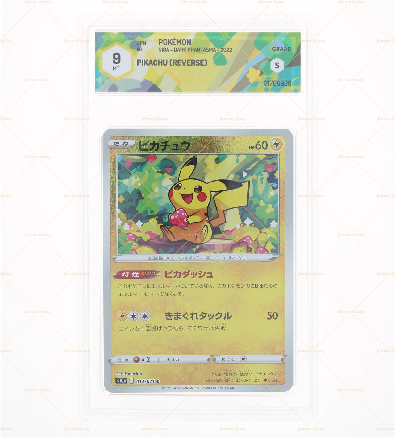 CARTE POKÉMON INDONÉSIE Pikachu D'Akari CHR 073/071 S10a Dark Phantasma - Foto 7