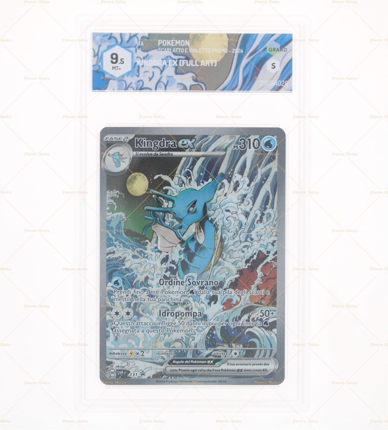 KINGDRA EX - SCARLATTO E VIOLETTO PROMO - GRAAD 9.5 - 2024