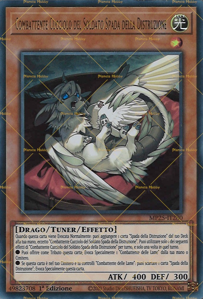 Buster Whelp of the Destruction Swordsman