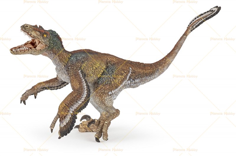 Velociraptor Piumato